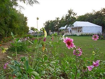 Jungle View Resort Sawai Madhopur Exterior foto