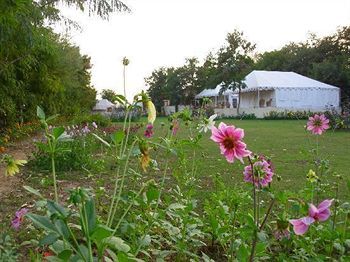 Jungle View Resort Sawai Madhopur Exterior foto